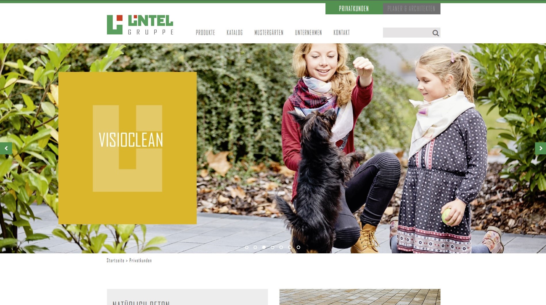 project-4-homepage
